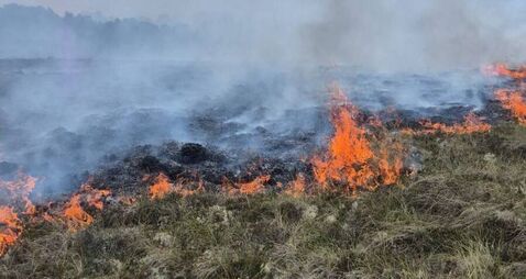 Fire breaks out on County Roscommon bog