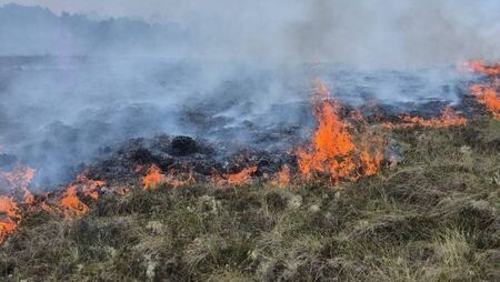 Fire breaks out on County Roscommon bog
