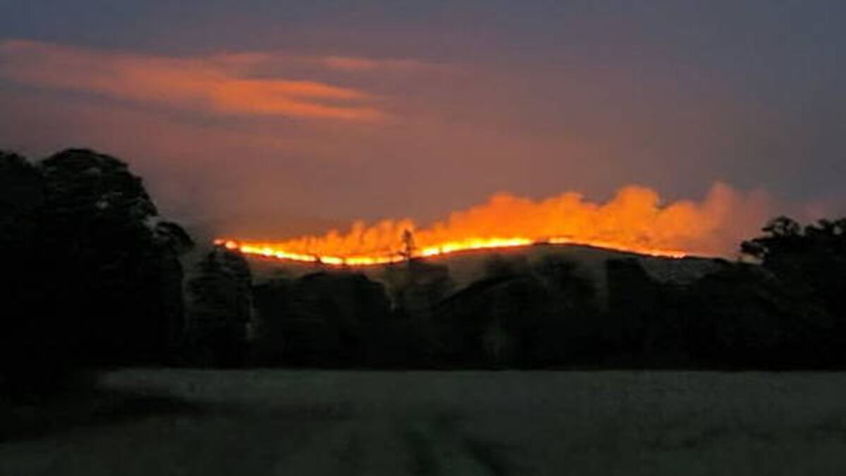 Tipperary wildfire spreads to forestry plantation as Coillte appeal to public to stay away