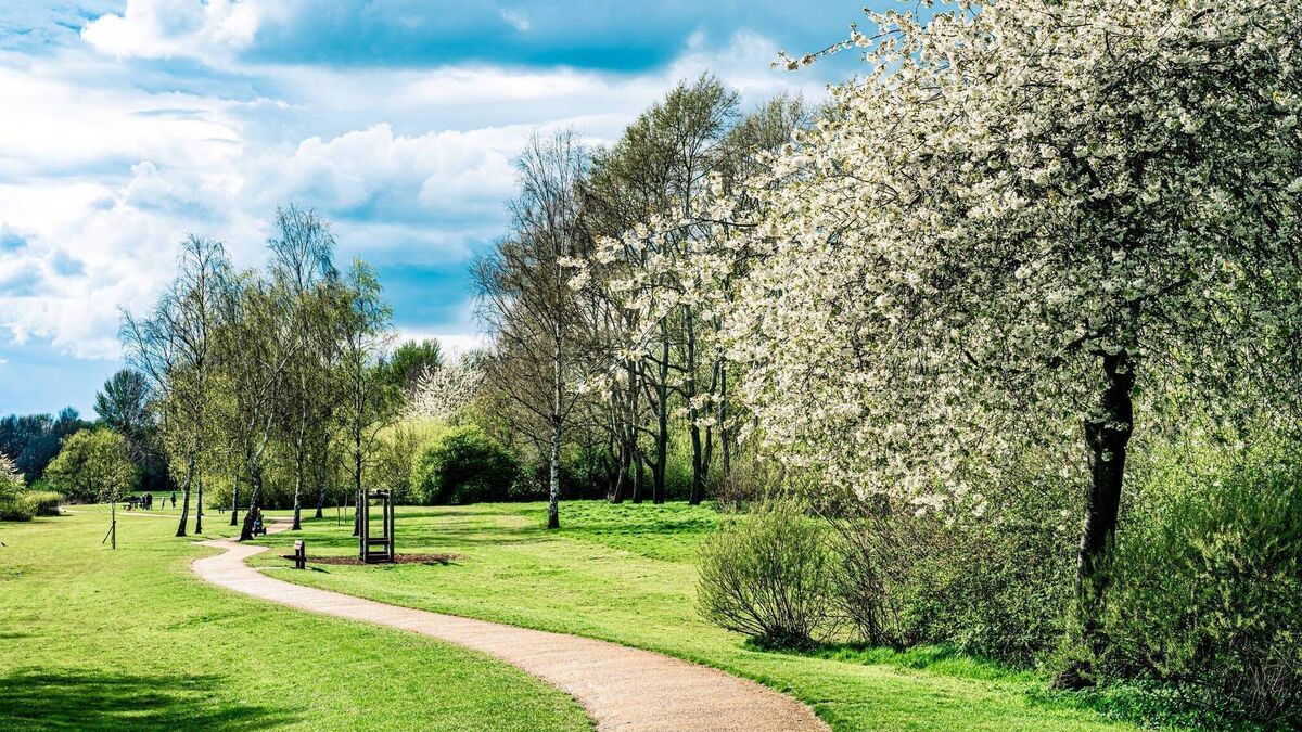 Town Team calls for public park for Strokestown