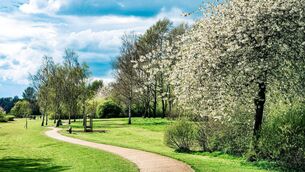 <p>In a submission on the proposed variations to the county development plan, Strokestown Town Team put its case forward for a public park for the town.</p>