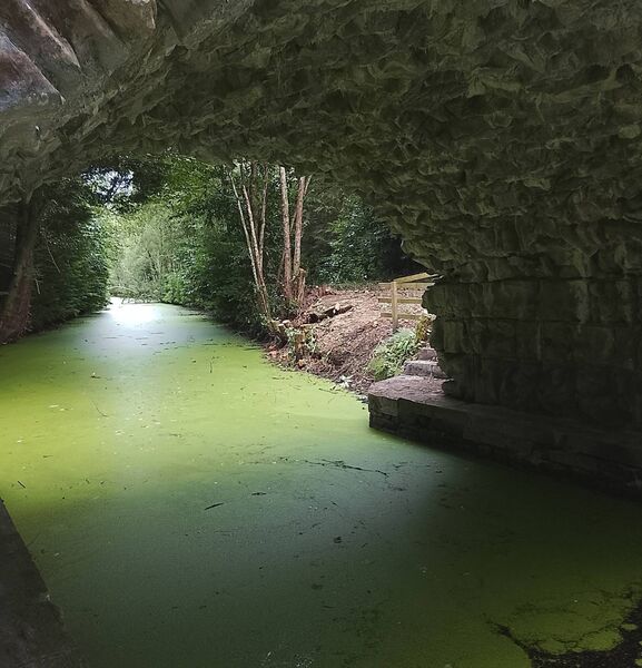 MYSTICAL: For several hundred meters at Lough Key Forest Park the canal at the Fairy Bridge turned bright green last week. It seems that green floating pond weed is currently thriving in the still waters of the canal. MYSTICAL: For several hundred meters at Lough Key Forest Park the canal at the Fairy Bridge turned bright green last week. It seems that green floating pond weed is currently thriving in the still waters of the canal.
