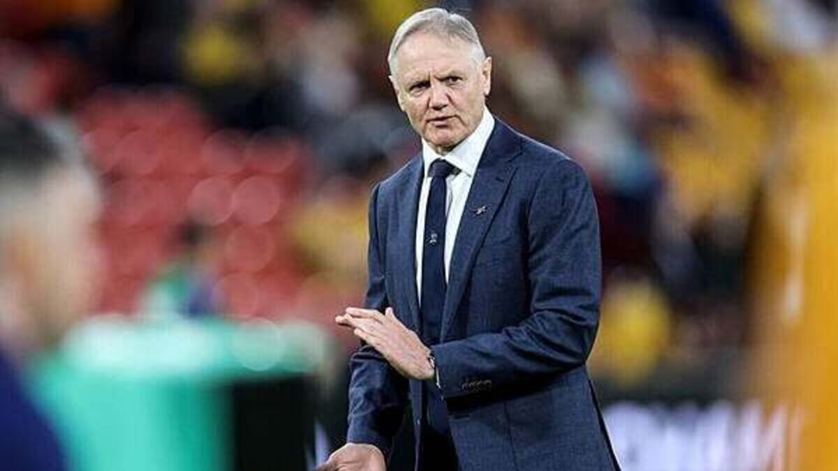 Ulster confirm Joe Schmidt to join province as coach development advisor