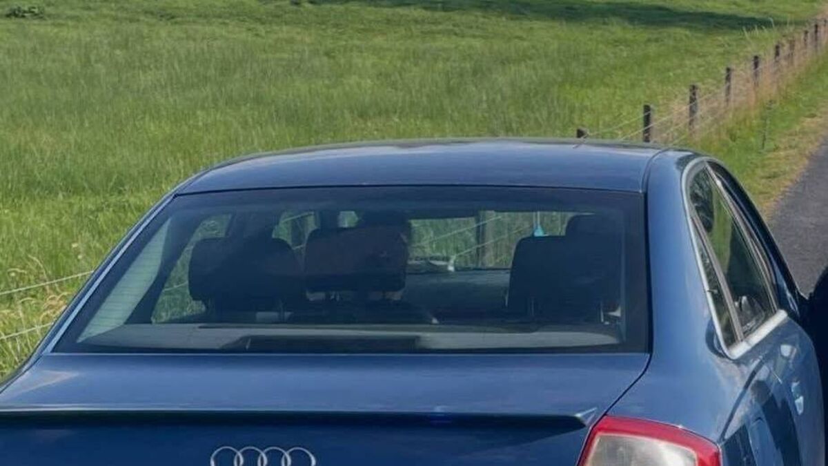 Motorist with no insurance had ‘positive reading’ for several drugs when stopped in County Roscommon