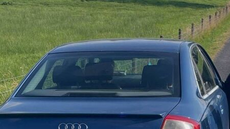 Motorist with no insurance had ‘positive reading’ for several drugs when stopped in County Roscommon