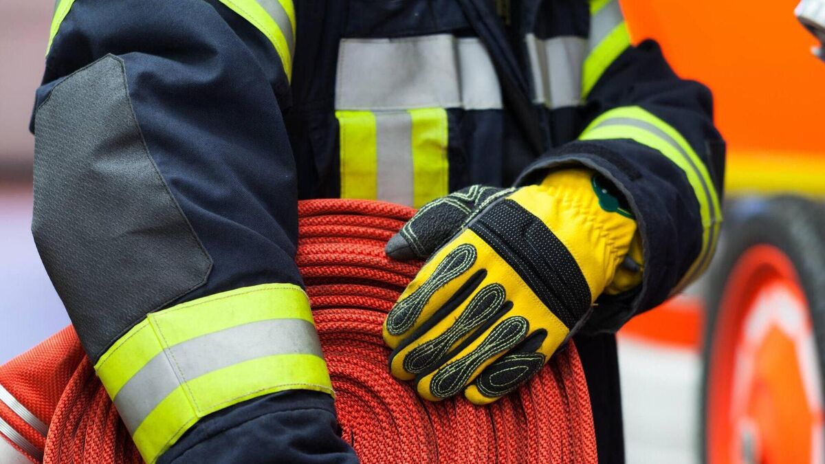 Carer saves elderly woman and her home in County Roscommon