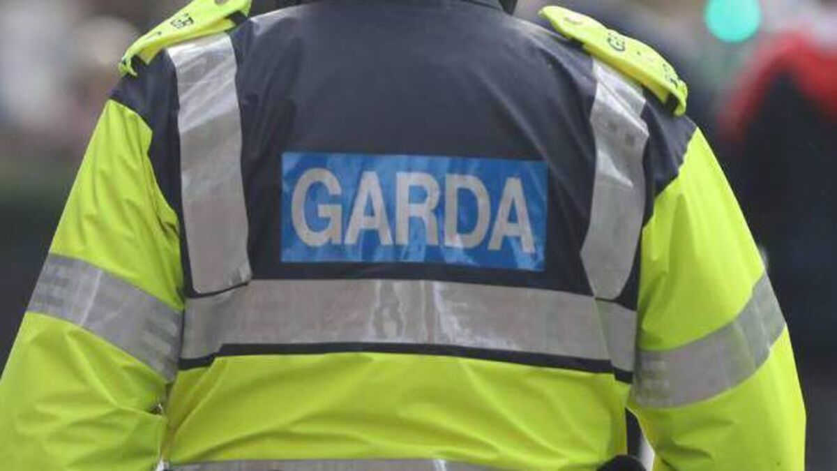 Gardaí appeal for witnesses after firearm is discharged