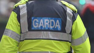 <p>Gardaí are investigating "all the circumstances" in relation to the discharge of a firearm at a residence at Dunlo, Ballinasloe in the early hours of this morning.</p> <p>Gardaí are investigating "all the circumstances" in relation to the discharge of a firearm at a residence at Dunlo, Ballinasloe in the early hours of this morning.</p>