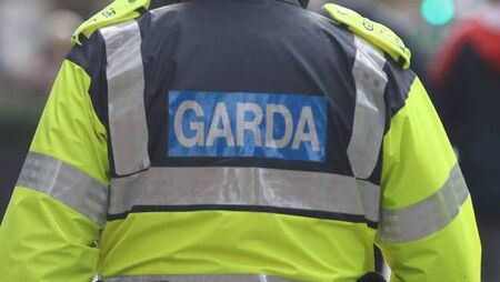 Gardaí appeal for witnesses after firearm is discharged
