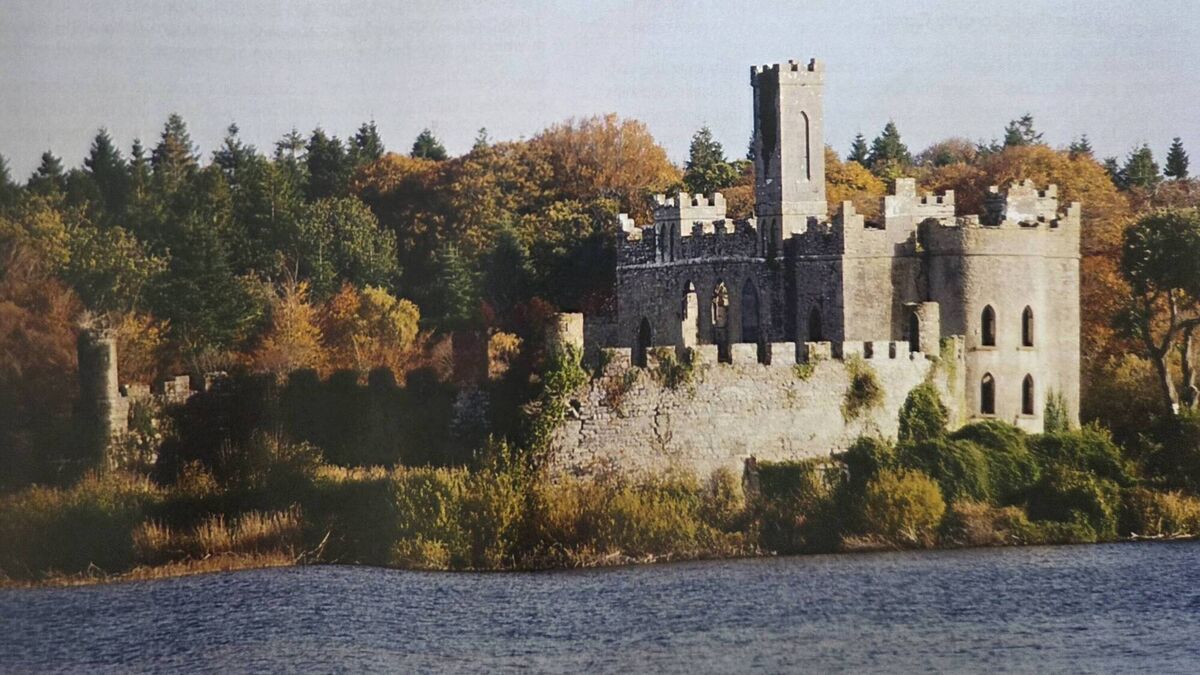 Plan to secure future of historic Castle Island in County Roscommon unveiled