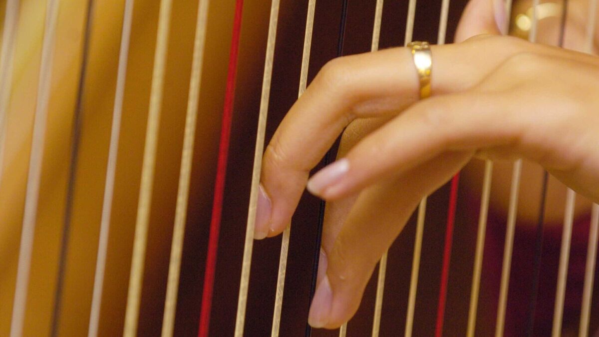 Musicians invited to apply for high end classical instruments