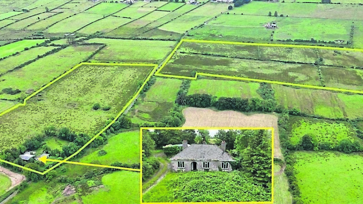 County Roscommon residential farm sale expected to attract great interest