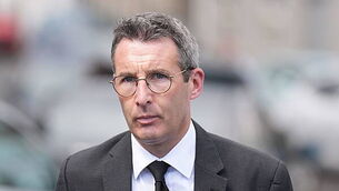 TD calls for additional parental leave for multiple birth families