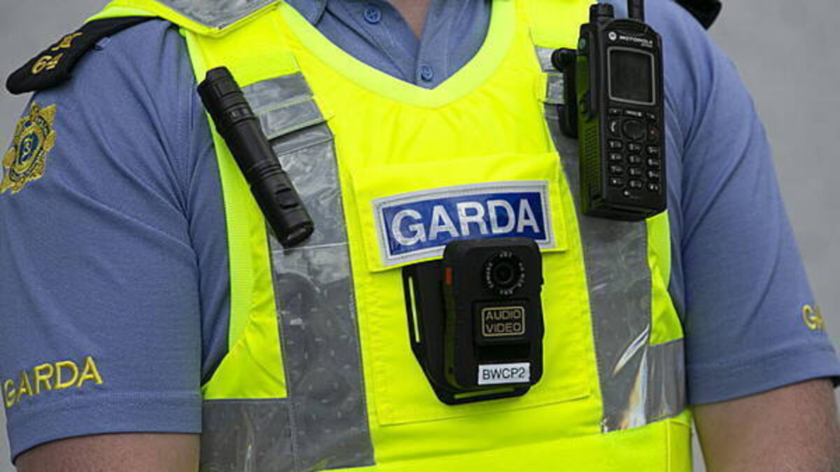 Cork farmer dies after drowning while getting water for animals