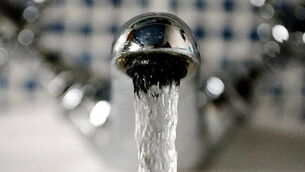 Cork farmer dies after drowning while getting water for animals Cork farmer dies after drowning while getting water for animals