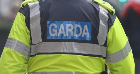Power tools taken in burglary at County Roscommon property