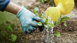 <p>Water supplies in West Roscommon are coming under increasing pressure due to the continued dry weather, according to Uisce Éireann.</p>