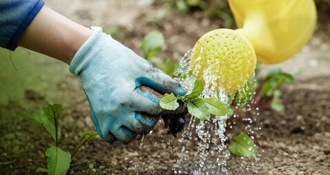 Water supplies in parts of West Roscommon under increasing pressure 