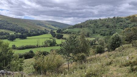 Herald Opinion: All Creatures Great and Small on the Yorkshire Dales