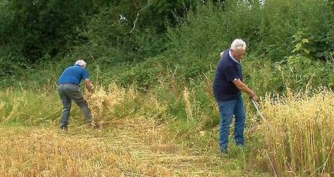 Local Notes: Harvest Day, Auto Show and Cookery Classes