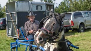 <p>Barney McHugh from Boyle with Barney and his single road cart at Ballinamore Show. Pic: Gerry Faughnan </p> <p>Barney McHugh from Boyle with Barney and his single road cart at Ballinamore Show. Pic: Gerry Faughnan </p>