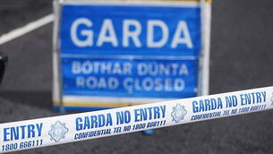 Woman (20s) dies in single-vehicle crash in Dublin