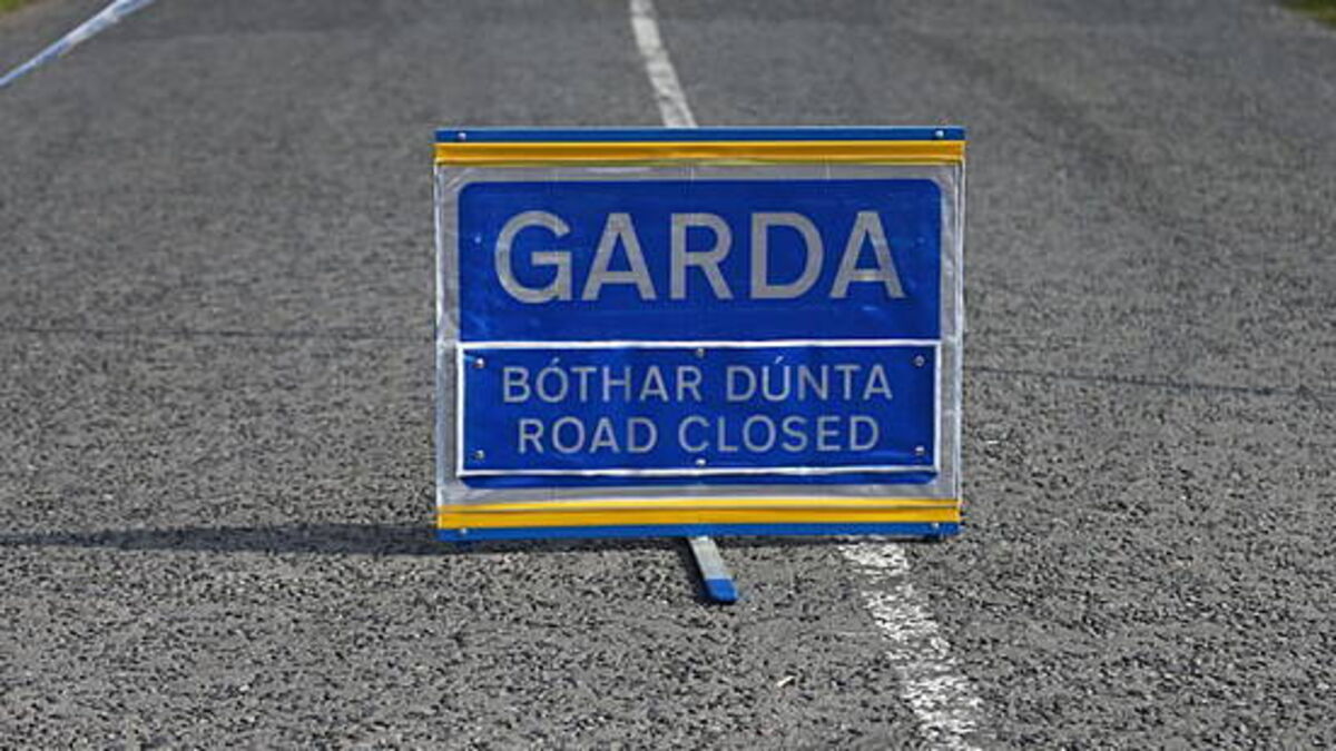 Woman (20s) dies in single-vehicle crash in Dublin