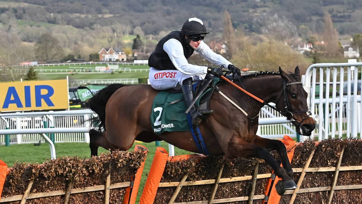 Horse with strong Roscommon connections is retired