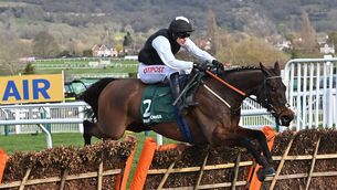 <p>Flooring Porter, ridden by Danny Mullins, clearing the last before winning the The Paddy Power Stayers' Hurdle at the Cheltenham Festival in 2022. Picture: INPHO.</p> <p>Flooring Porter, ridden by Danny Mullins, clearing the last before winning the The Paddy Power Stayers' Hurdle at the Cheltenham Festival in 2022. Picture: INPHO.</p>