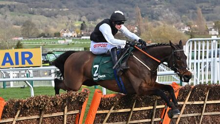Horse with strong Roscommon connections is retired
