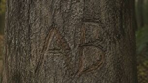 <p>The faint outline of a penknife carving from a tree in Ballintubber that has remained from at least 35 years ago.</p> <p>The faint outline of a penknife carving from a tree in Ballintubber that has remained from at least 35 years ago.</p>