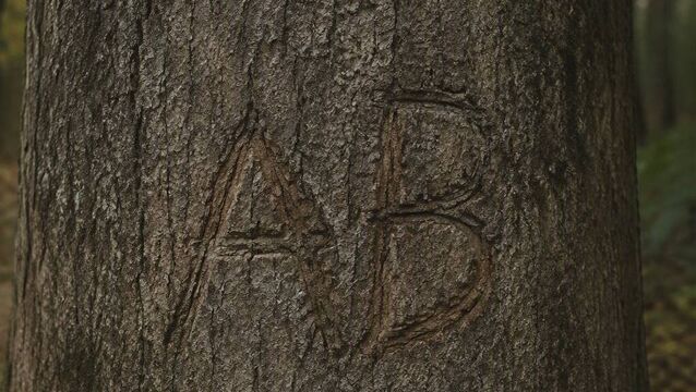 The faint outline of a penknife carving from a tree in Ballintubber that has remained from at least 35 years ago. <p>The faint outline of a penknife carving from a tree in Ballintubber that has remained from at least 35 years ago.</p>