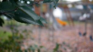 <p>The playground has been temporarily closed as a result. Pic: iStock</p> <p>The playground has been temporarily closed as a result. Pic: iStock</p>
