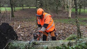 <p>FRS Training is encouraging farmers and those involved in farming to take advantage of a series of fully funded chainsaw training courses. </p>