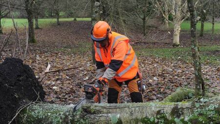 Free chainsaw training courses now open 