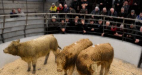 Mass of Remembrance to mark 50 years of local mart 
