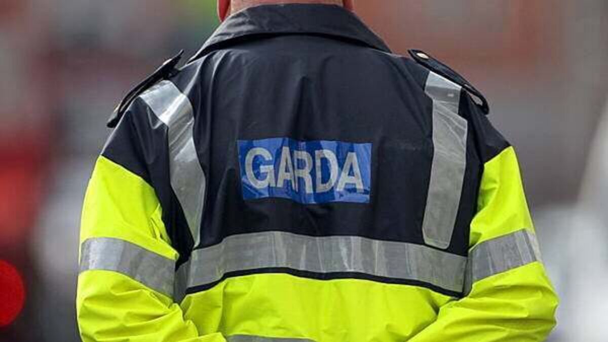 Two females injured after alleged assault in Ballyogan