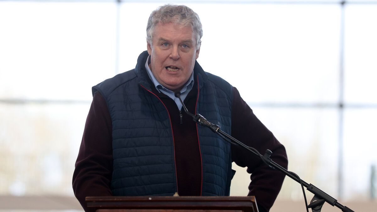 EU Decision on Brazilian beef a 'significant victory' for Roscommon's consumers and farmers, says Mullooly 