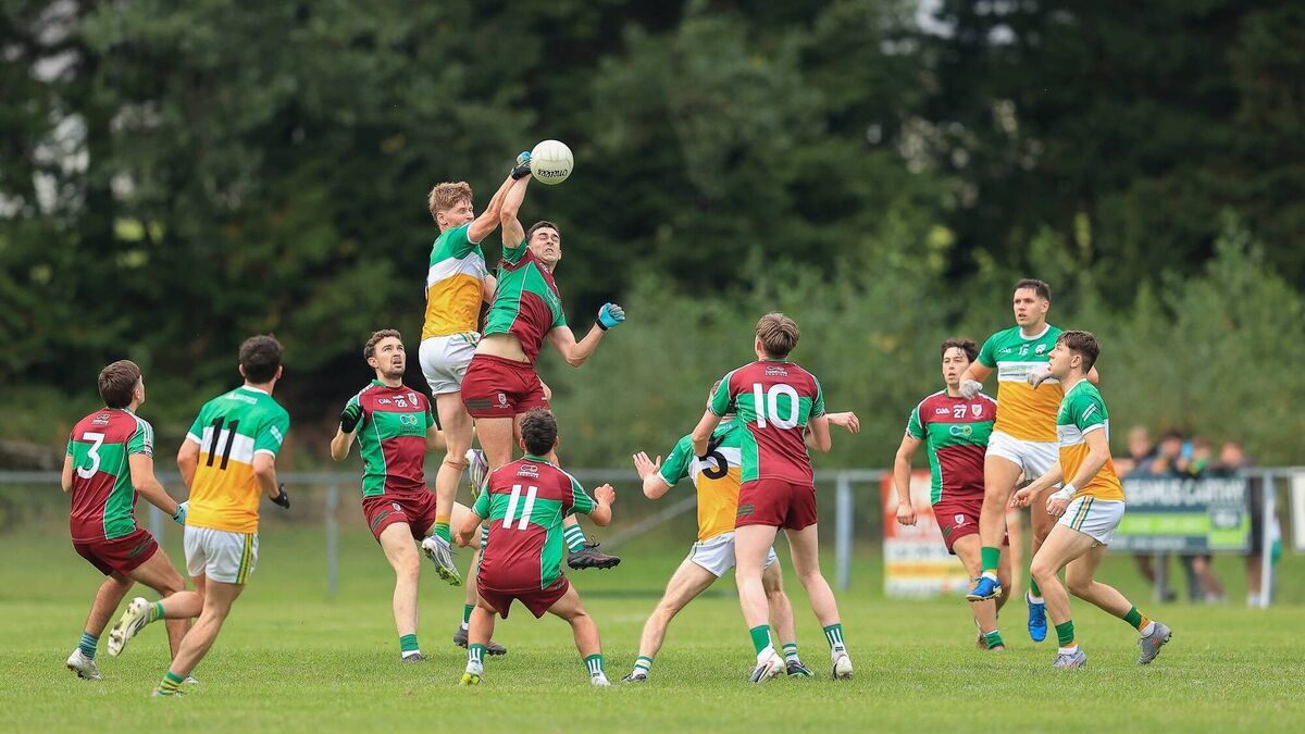 Land of the giants as Roscommon Herald Team of the Week returns