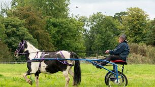 <p>Mickey Joe McHugh, The Plains Boyle travelling in style at the Elphin Agricultural Show. Pic: Breda Durr</p>