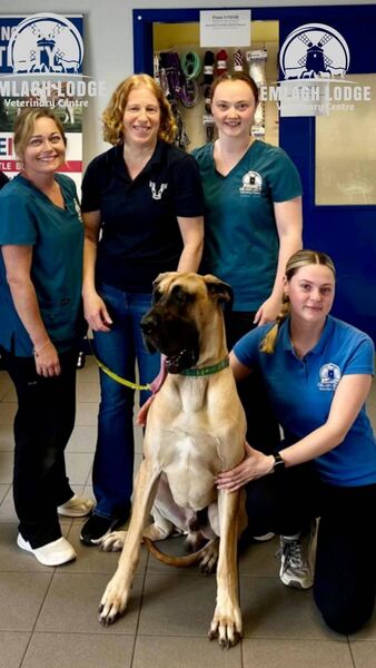 The lovely staff and their lovely patient at Emlagh Lodge last week. The lovely staff and their lovely patient at Emlagh Lodge last week.