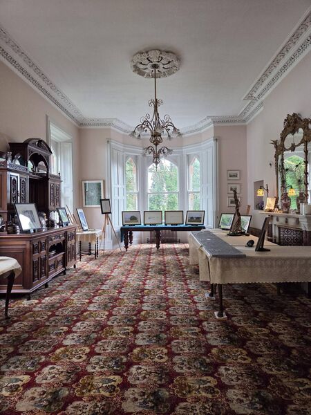 Arrival art exhibition at Edmondstown House, Ballaghaderreen. Pic: Anna King Arrival art exhibition at Edmondstown House, Ballaghaderreen. Pic: Anna King