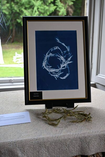 Sweetgrass, by Siobhan Butler. Cyanotype. Photograph by Eithne Gallagher Sweetgrass, by Siobhan Butler. Cyanotype. Photograph by Eithne Gallagher