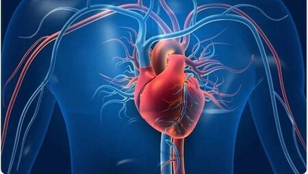 People in Roscommon urged to take small steps to reduce their risk of heart disease and stroke. 