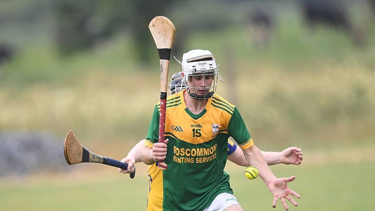 Semi final pairings revealed in Senior Hurling Championship