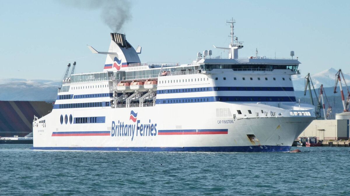 Mullooly takes Irish livestock transport dispute directly to Brittany Ferries