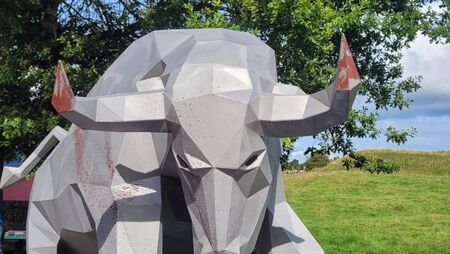 Striking new bull sculpture celebrates Roscommon's ancient heritage