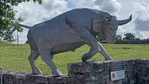 <p>The sculpture represents Finnbennach, the legendary White Bull of Connacht.</p> <p>The sculpture represents Finnbennach, the legendary White Bull of Connacht.</p>
