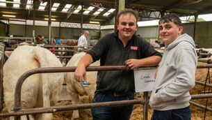 <p>The Gormley brothers from Elphin at Elphin Agricultural Show.Pic: Breda Durr</p>