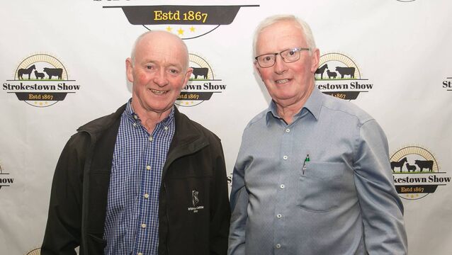 Strokestown Show's €100,000 prize fund attracts top exhibitors